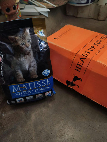 Farmina Matisse Premium Dry Kitten Food - (1 - 12 months)