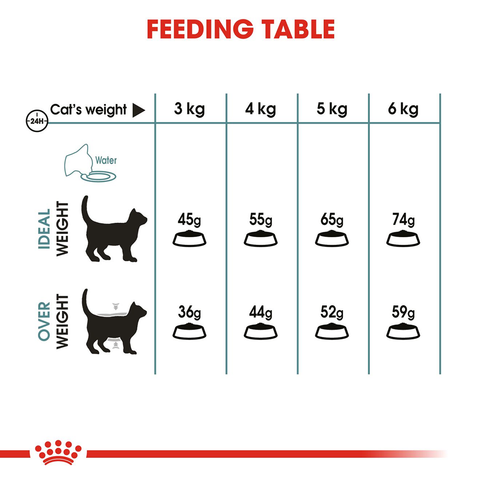 Royal Canin Hairball Care Dry Cat Food