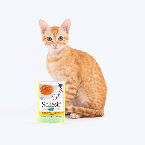 Schesir 70.5% Tuna and Pumpkin Wild Soup For Adult Cats - 85 g