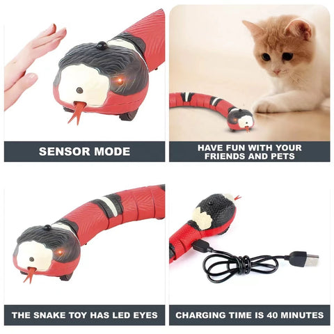 USB Rechargeable Kitten Toys for Cats