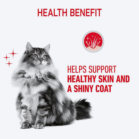 Royal Canin Hair & Skin Care In Gravy Adult Cat Wet Food - 85 g