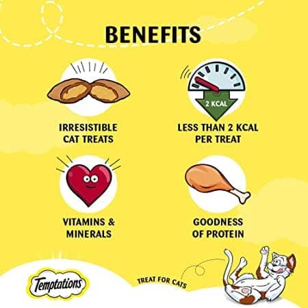 Temptations Tasty Chicken Flavor Cat Treats - 85g Packs